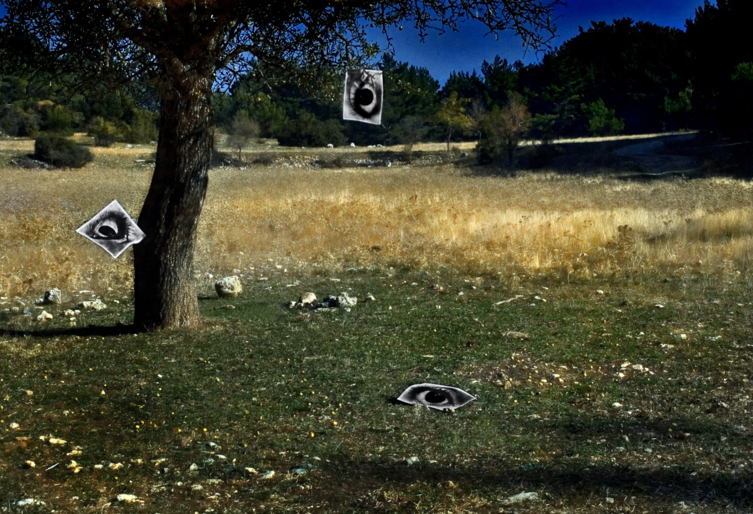 The photographic archive of Orhan Alptürk.