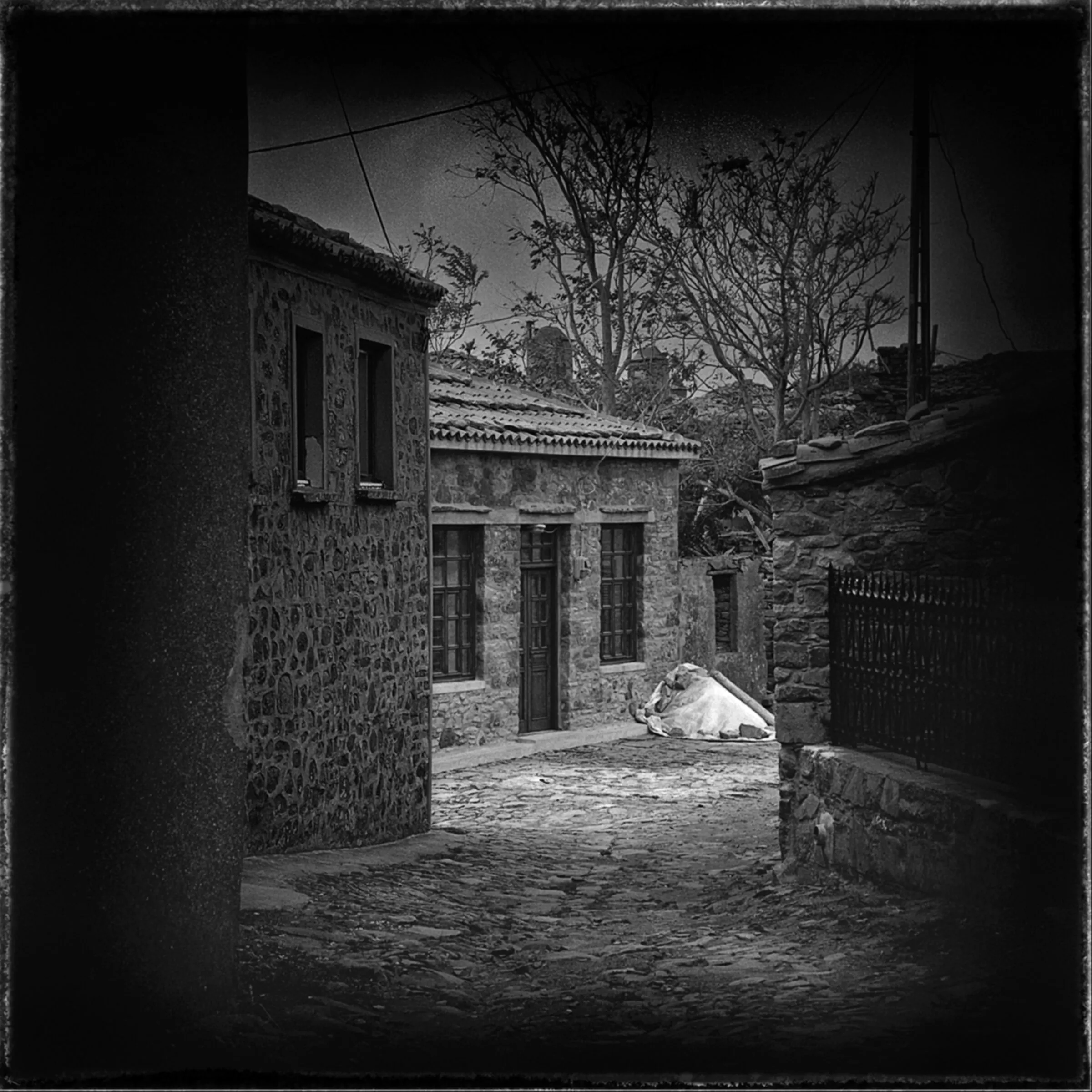 The photographic archive of Orhan Alptürk.