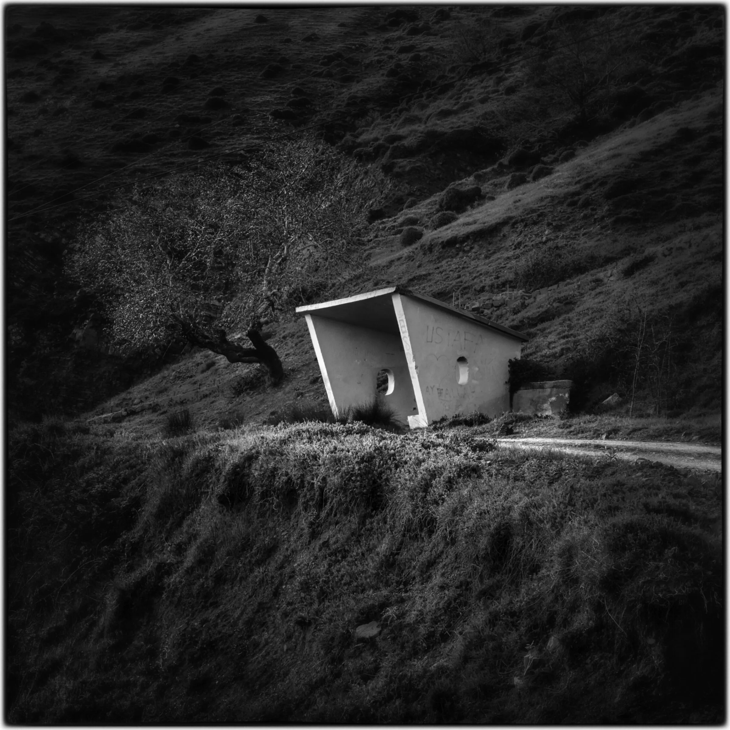 The photographic archive of Orhan Alptürk.